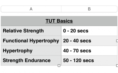 Blog 9 Strength Qualities