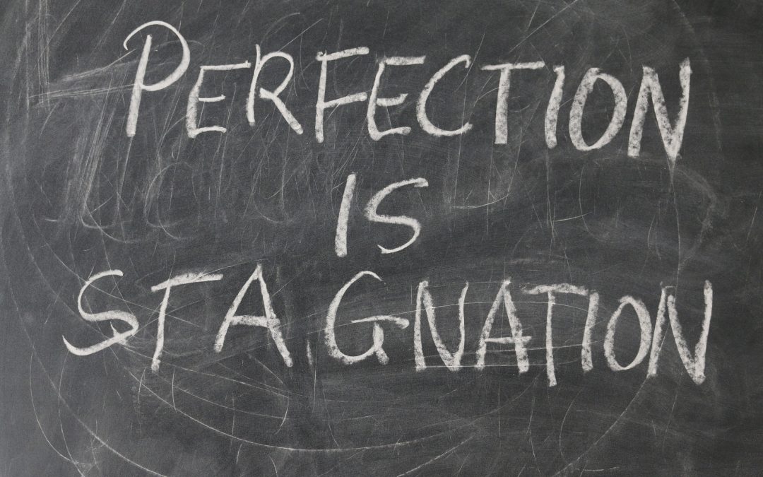 Blog 4 Pursuit of Perfection