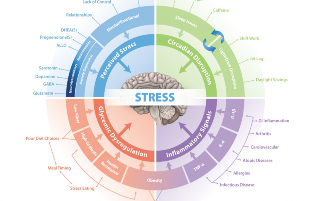 Blog 96 To Summarise Stress and GI Health