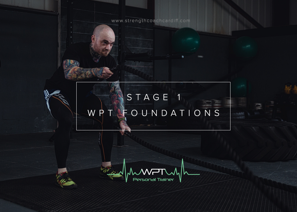 Stage 1 – WPT Foundations